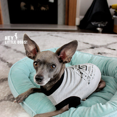 Tribal Graphic T-Shirt for Dogs