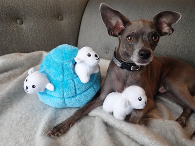 Polar Bears & Igloo Puzzle Plush Toy for Dogs