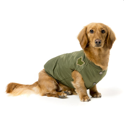 Air Force One Bomber Jacket for Dogs