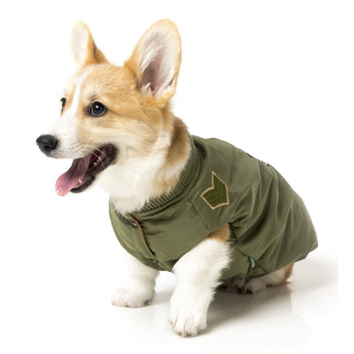 Air Force One Bomber Jacket for Dogs