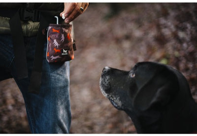 Compact Treat Pouch w/ Squeaker