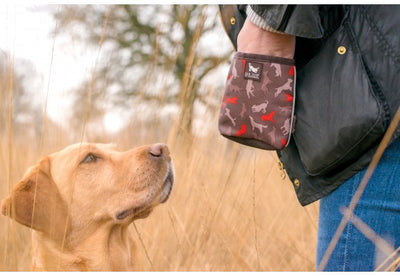 Compact Treat Pouch w/ Squeaker