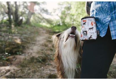 Compact Treat Pouch w/ Squeaker