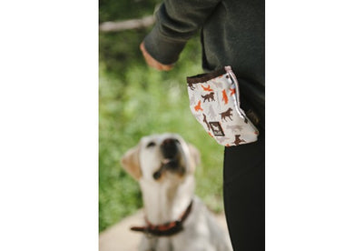 Compact Treat Pouch w/ Squeaker