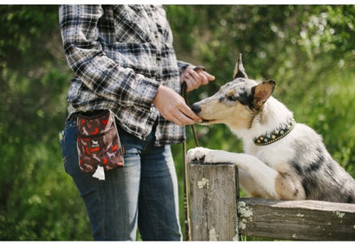 Deluxe Training & Treat Tote w/ Squeaker