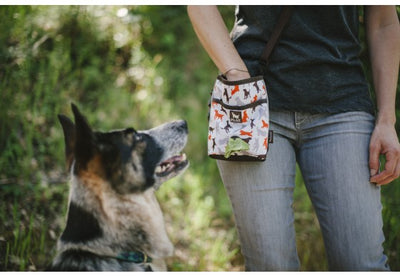 Deluxe Training & Treat Tote w/ Squeaker