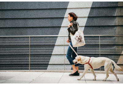 Labrador Tote Bag "all food must go to the lab"