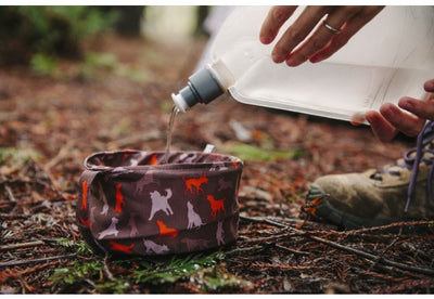 Collapsible Pet Travel Bowl