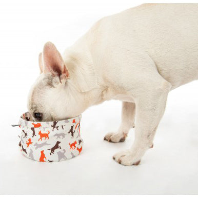 Collapsible Pet Travel Bowl