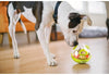 Wobbler Treat Ball Dog Toy