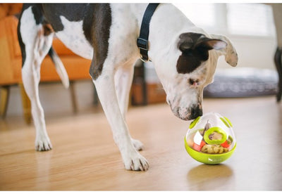 Wobbler Treat Ball Dog Toy