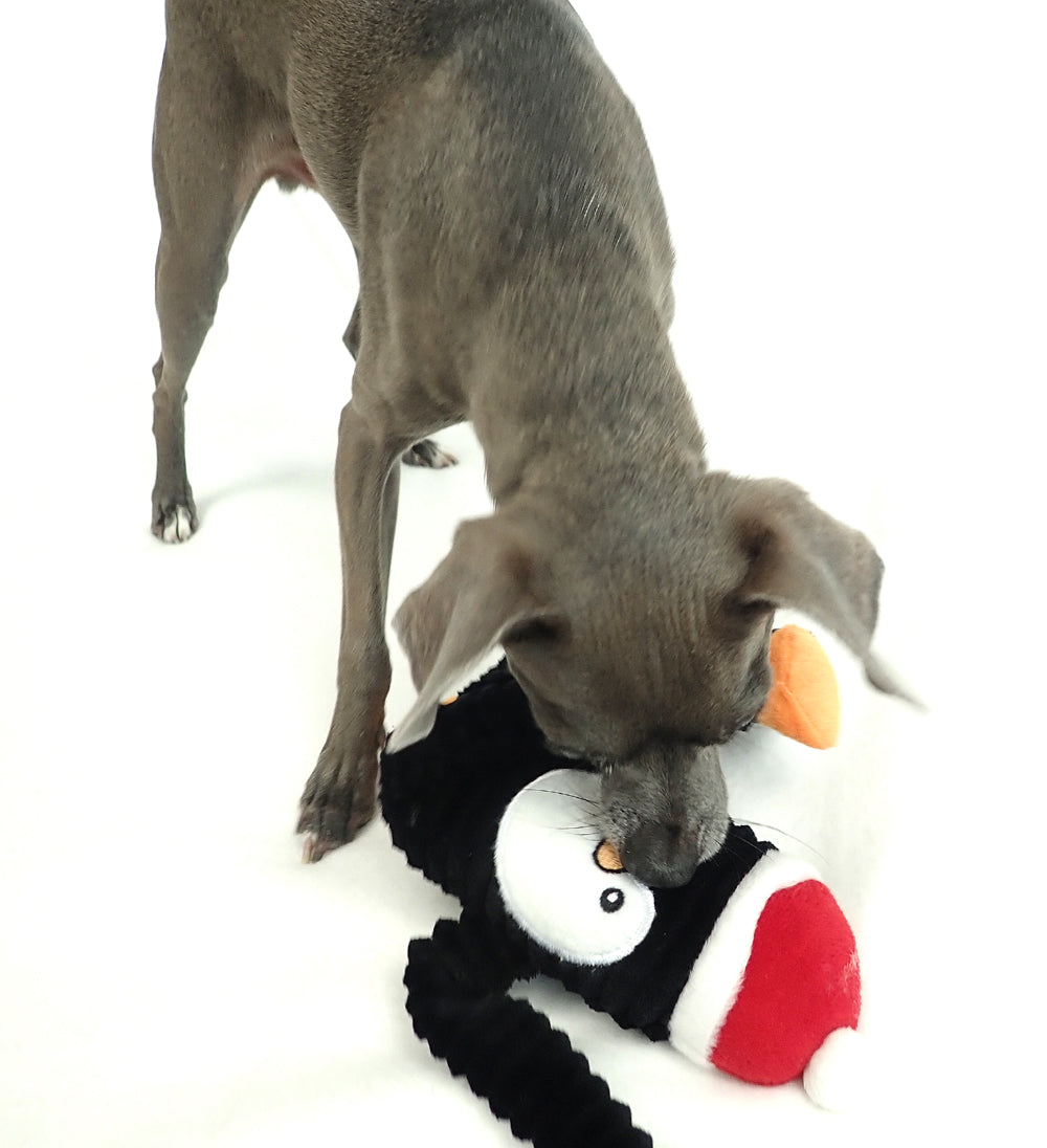 Penguin Crinkle Dog Toy, Small