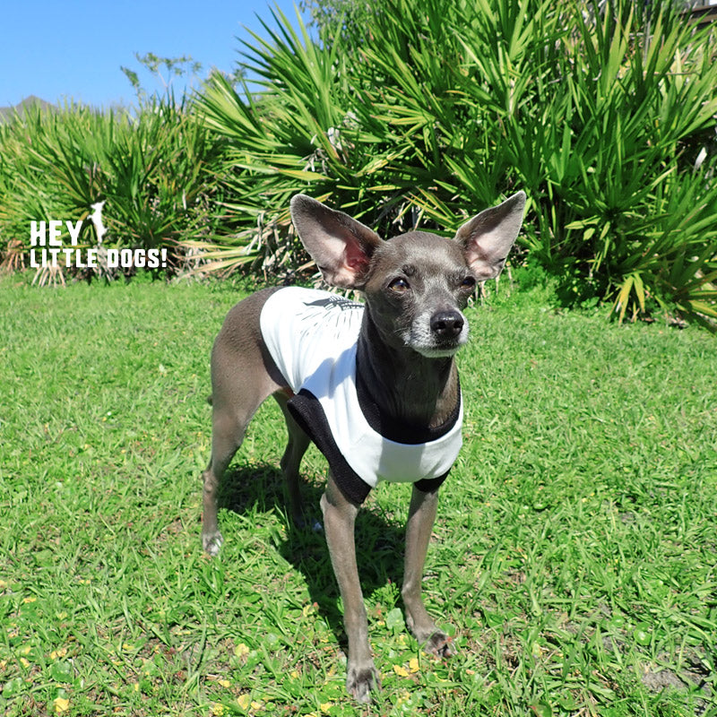 "Best Dog in the Universe" Graphic T-Shirt for Dogs