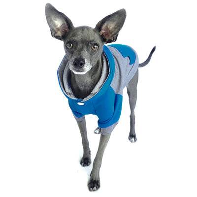 raglan style turquoise gray dog hoodie front view on standing dog