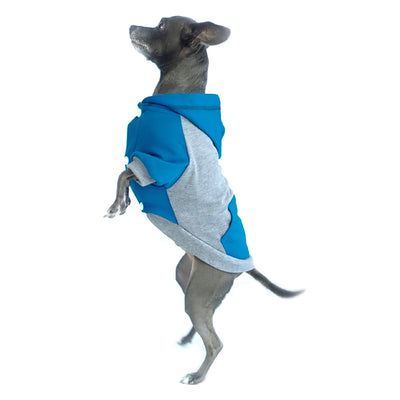 raglan style turquoise gray dog hoodie side view on standing dog