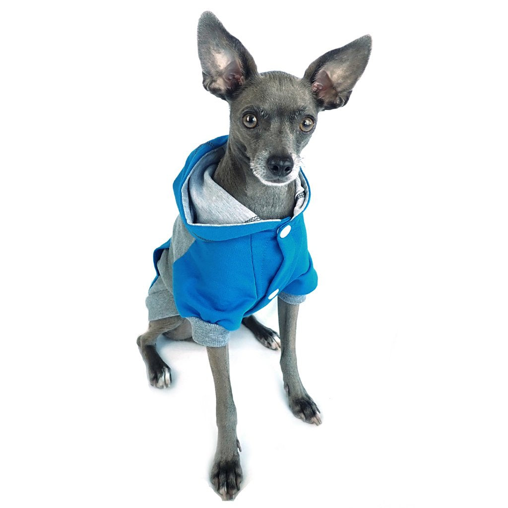 Color block clearance dog hoodie