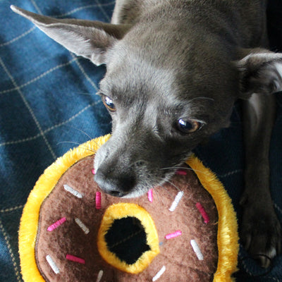 Blueberry Donut Squeaker Dog Toy