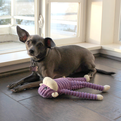 Spencer the Purple Crinkle Monkey Dog Toy, Small