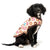 Donuts Wrap Vest for Dogs