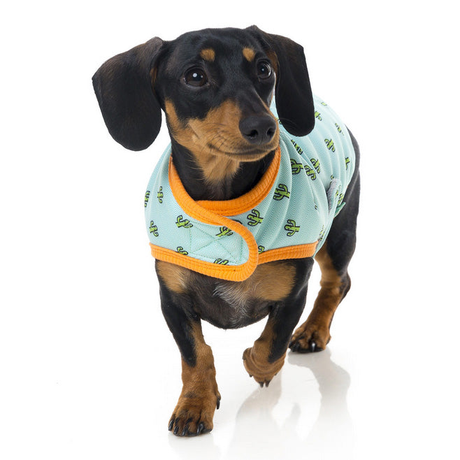 Tucson Cactus Wrap Vest for Dogs
