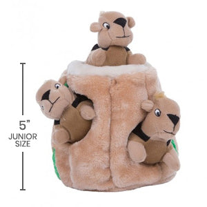 Hide-a-Squirrel Puzzle Dog Toy