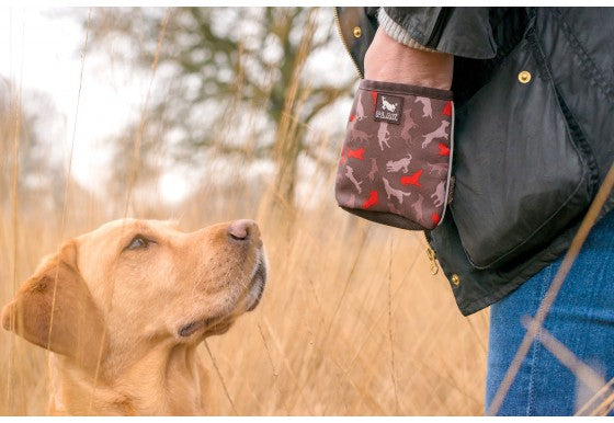 Compact Treat Pouch w/ Squeaker