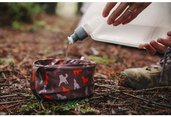 Collapsible Pet Travel Bowl