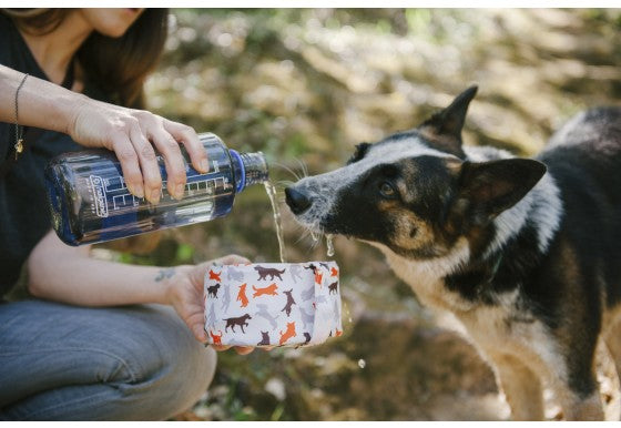 Collapsible Pet Travel Bowl