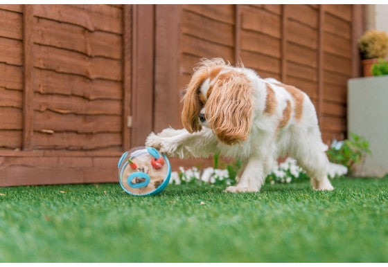 Wobbler Treat Ball Dog Toy - Hey Little Dogs!