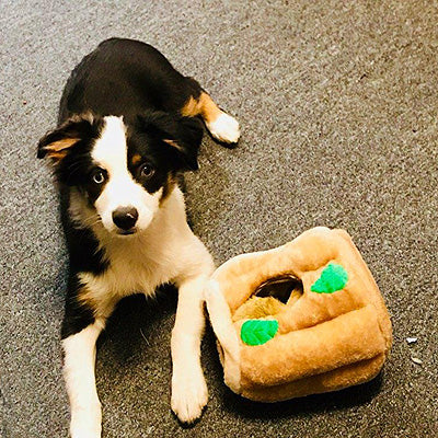 Hide-a-Squirrel Puzzle Dog Toy