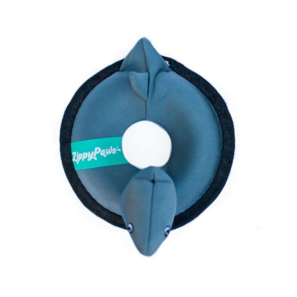 Shark Outdoor Floating Dog Toy