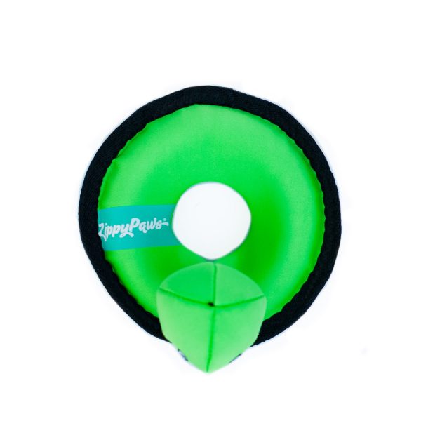 Turtle Outdoor Floating Dog Toy