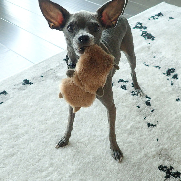 Skinny Peltz Animal Dog Toys 3-Pack (Large)